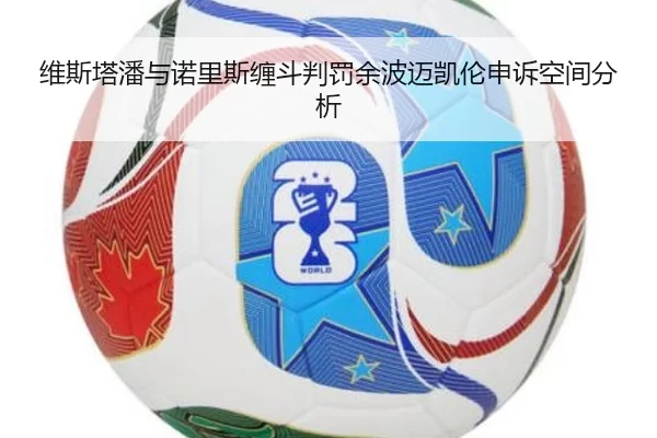 维斯塔潘与诺里斯缠斗判罚余波迈凯伦申诉空间分析